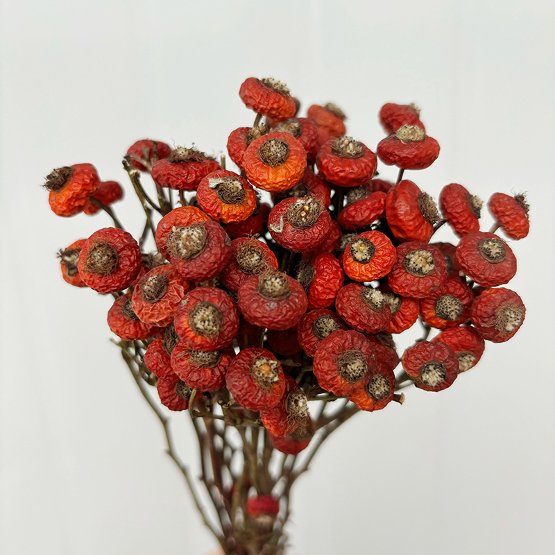 Dried Flower Bouquet - 10pcs/Bundel Bunga Mawar Kering Alami untuk