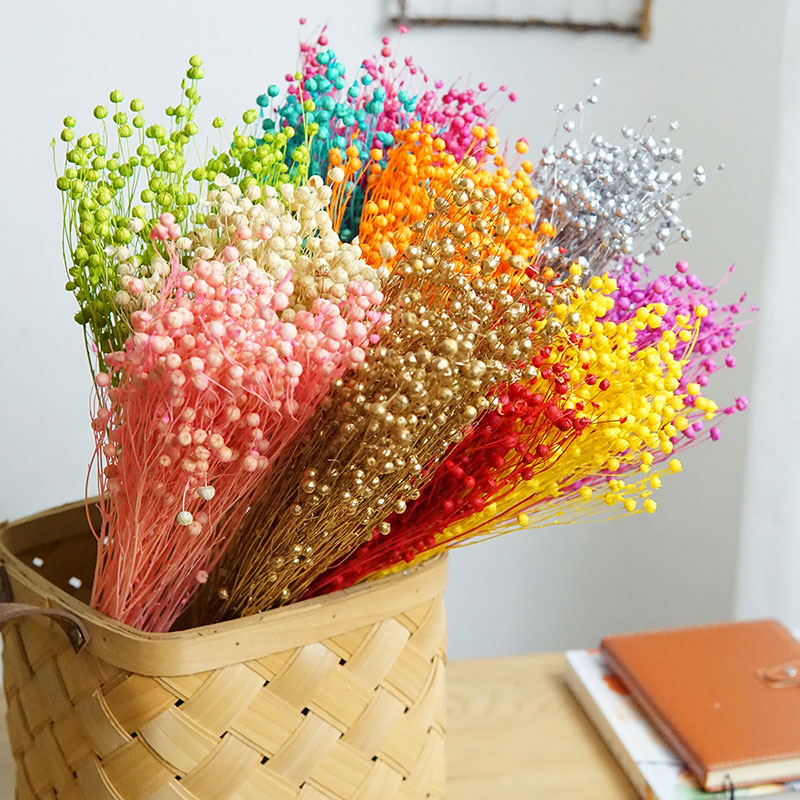 Dried Flower Bouquet - 35g/Ormosia Hosiei Alami Bunga Asli Diawetkan