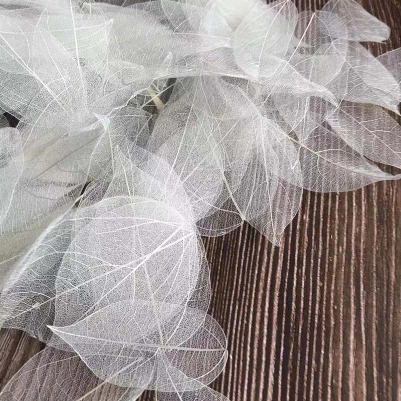 Dried Flower Bouquet - 5~9CM*2~3.5CM, 100PCS/Set, Daun Vajra Alami Kering