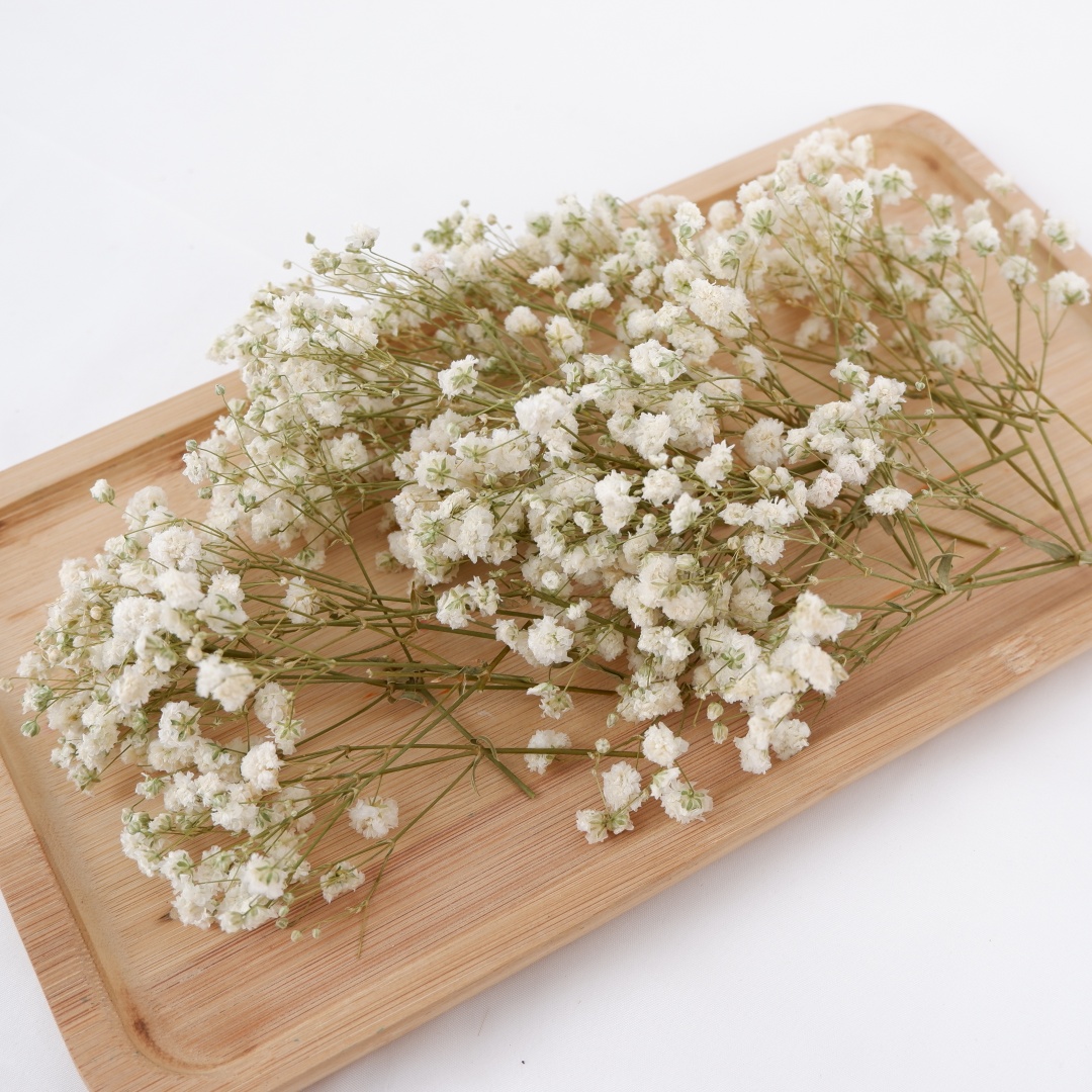 Dried Flower Bouquet - Bunga Kering Putih Mini Gypsophila Bunga