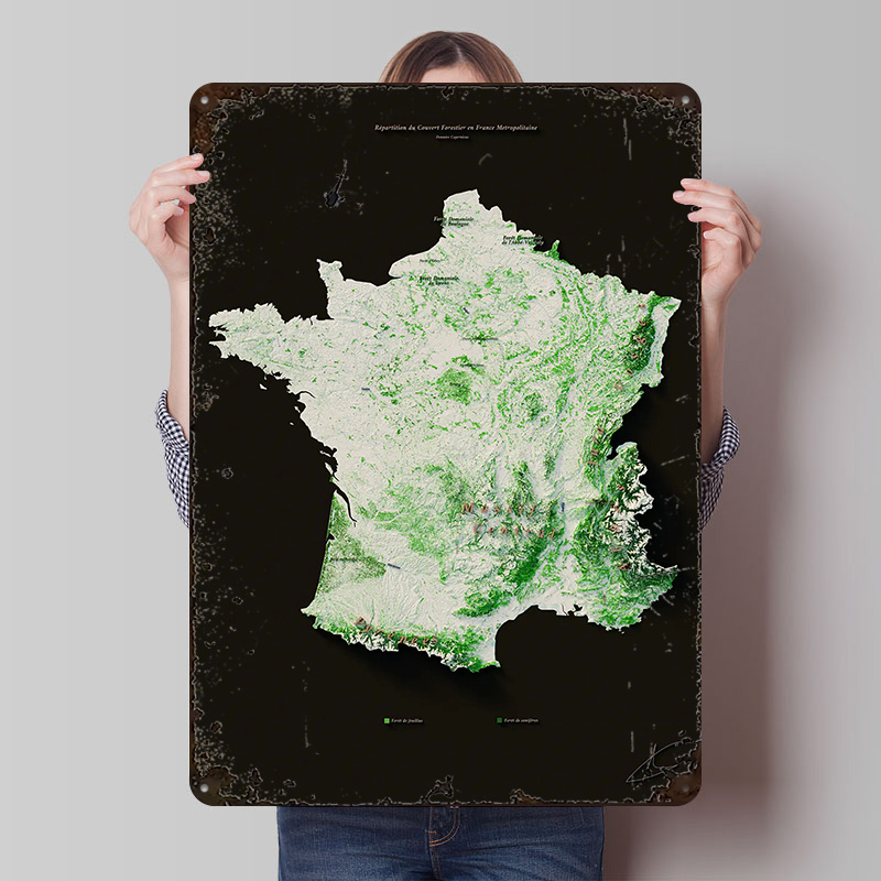 Home Decor Ai - Hutan Massif Perhutanan? Poster Kustom Seni