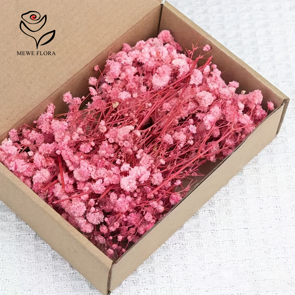 Dried Flower Bouquet - 100 Cabang Kecil Bunga Nafas Bayi