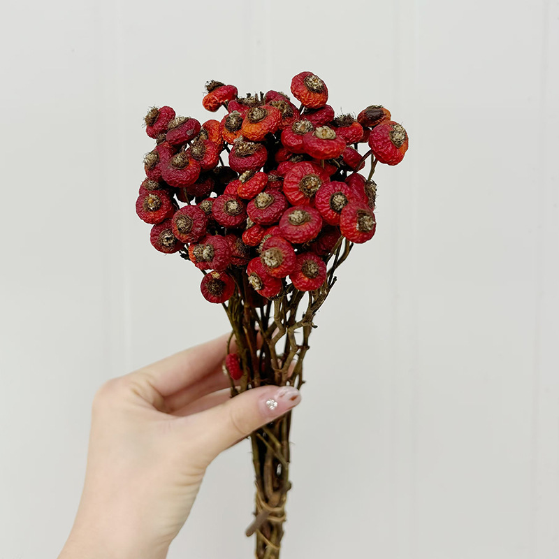 10pcs/Bundel Bunga Mawar Kerin - Dried Flower Bouquet ulasan dan harga