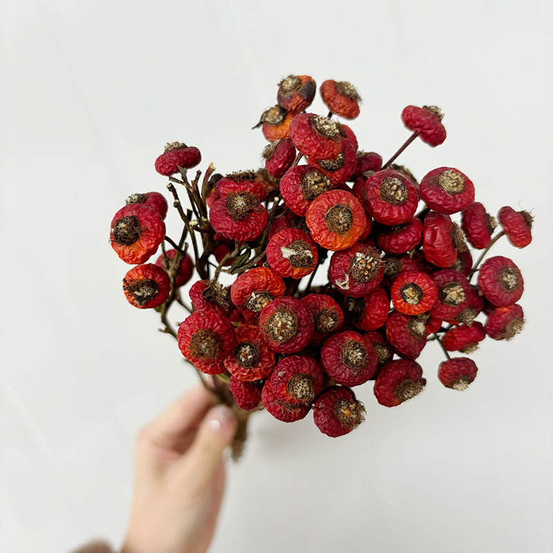 10pcs/Bundel Bunga Mawar Kerin - Dried Flower Bouquet ulasan dan harga