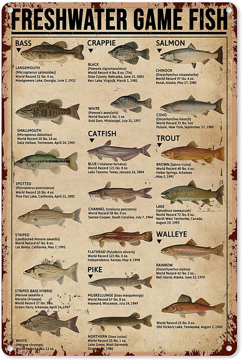 Y1, Poster Seni Memancing, Tan - Home Decor Games Free ulasan dan harga