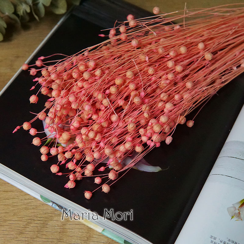 35g/Ormosia Hosiei Alami Bunga - Dried Flower Bouquet ulasan dan harga