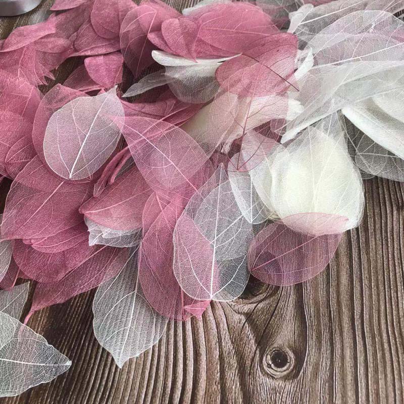 5~9CM*2~3.5CM, 100PCS/Set, Dau - Dried Flower Bouquet ulasan dan harga