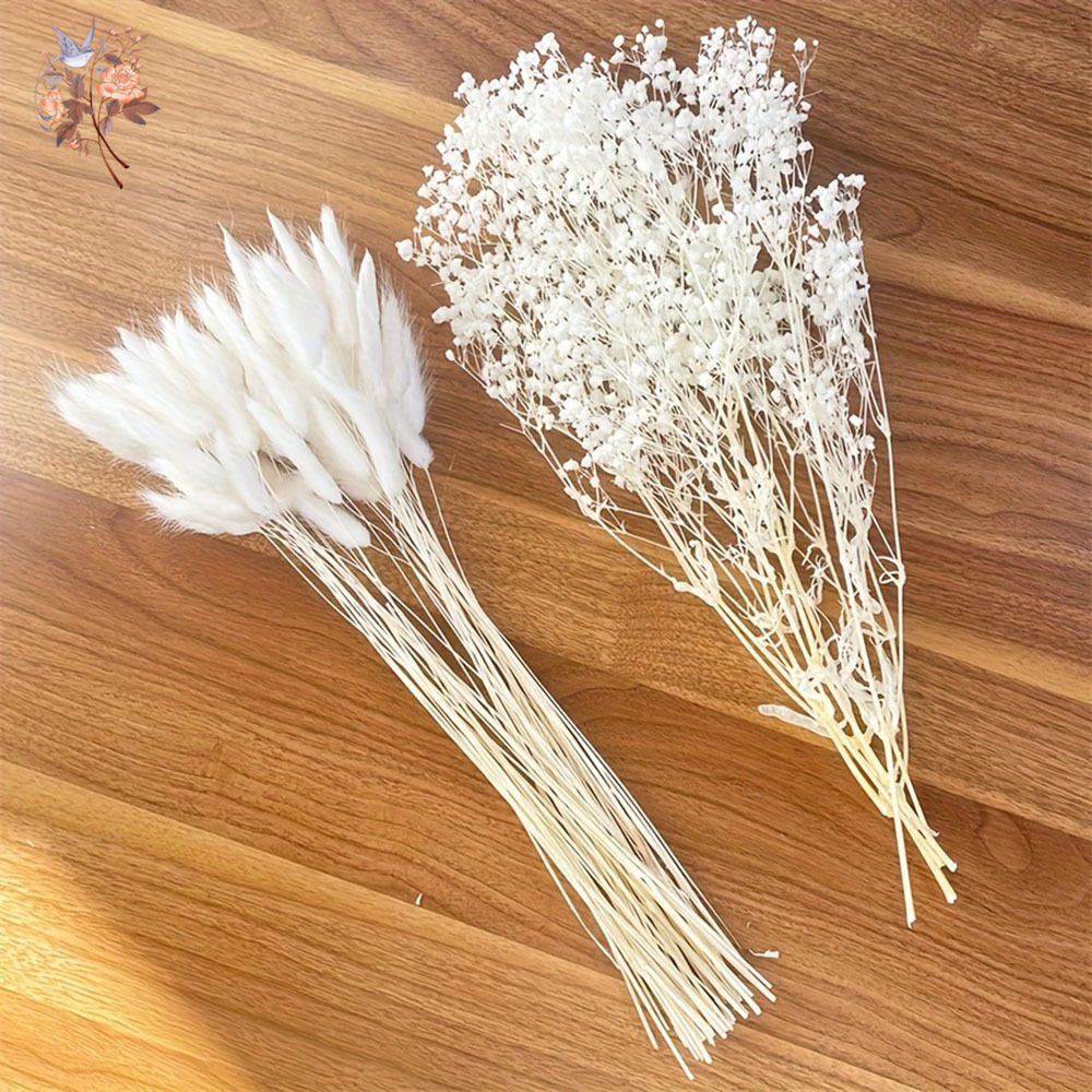 54 Buah Buket Mariage Penganti - Dried Flower Bouquet ulasan dan harga