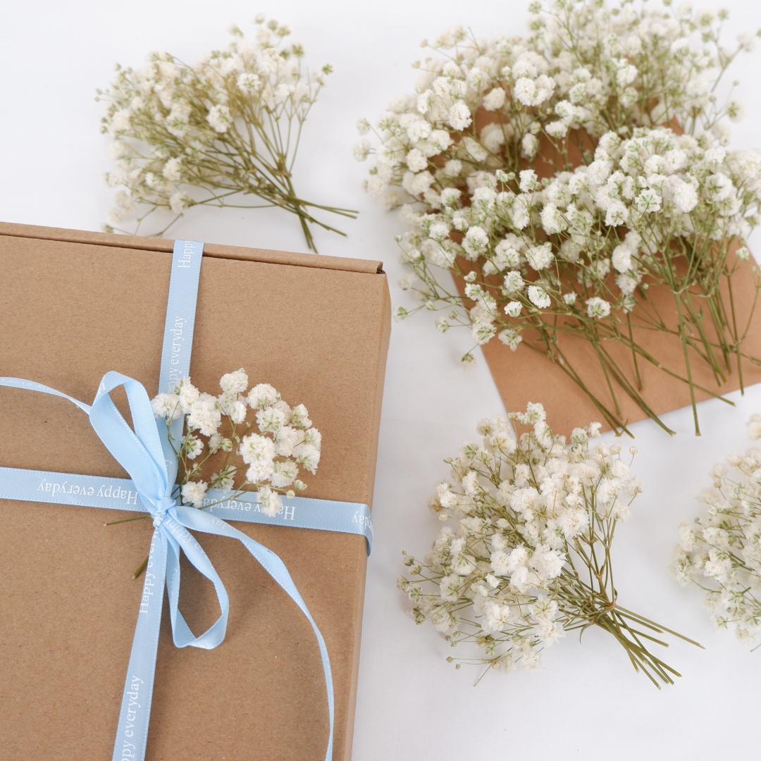 Bunga Kering Putih Mini Gypsop - Dried Flower Bouquet ulasan dan harga