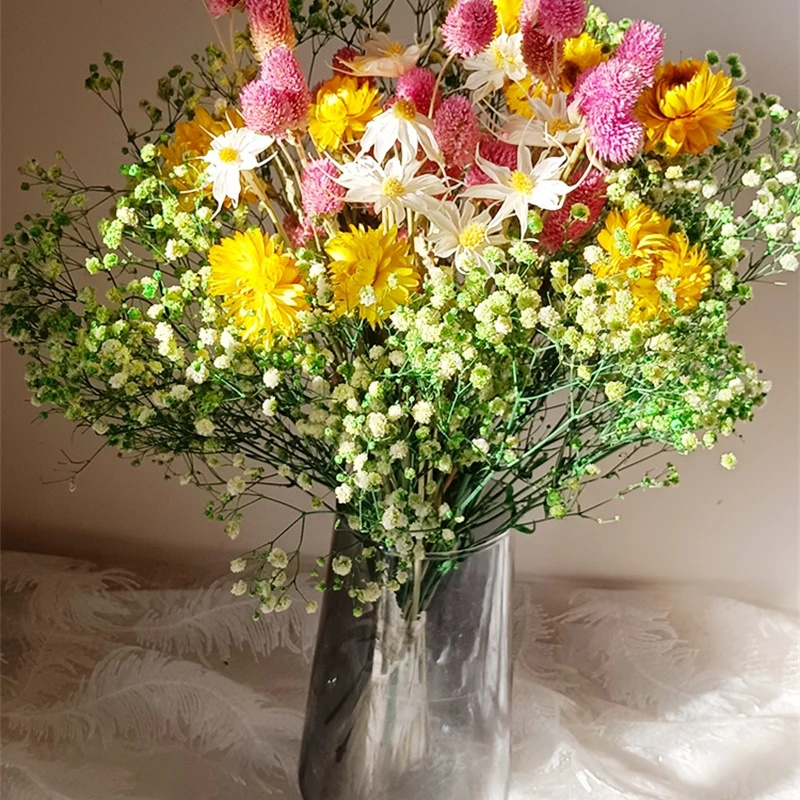 Buket Nafas Bayi Diawetkan Seg - Dried Flower Bouquet ulasan dan harga