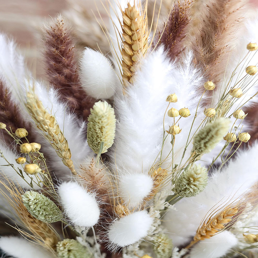 100 pcs Buket Rumput Pampas Ke - Dried Flower Bouquet ulasan dan harga