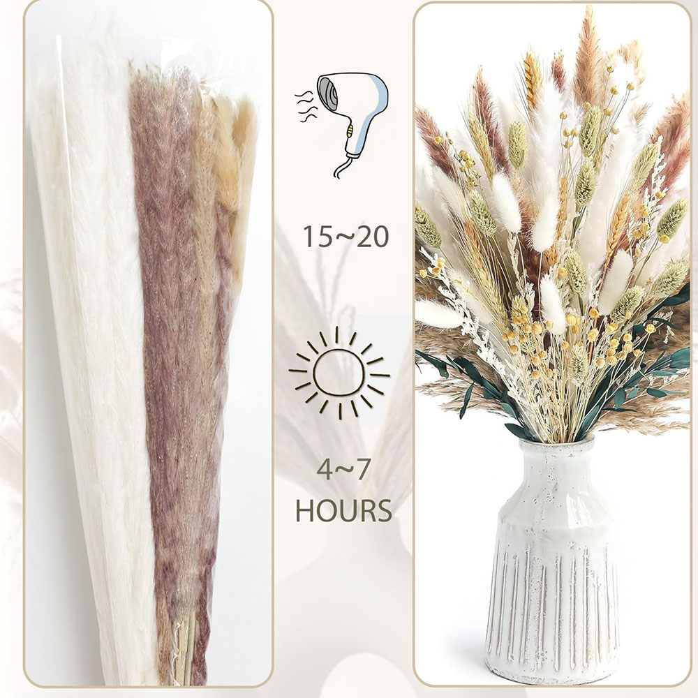 100 pcs Buket Rumput Pampas Ke - Dried Flower Bouquet ulasan dan harga