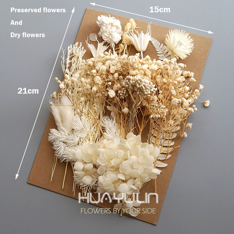 1 Pak tanaman buatan bunga asl - Dried Flower Bouquet ulasan dan harga