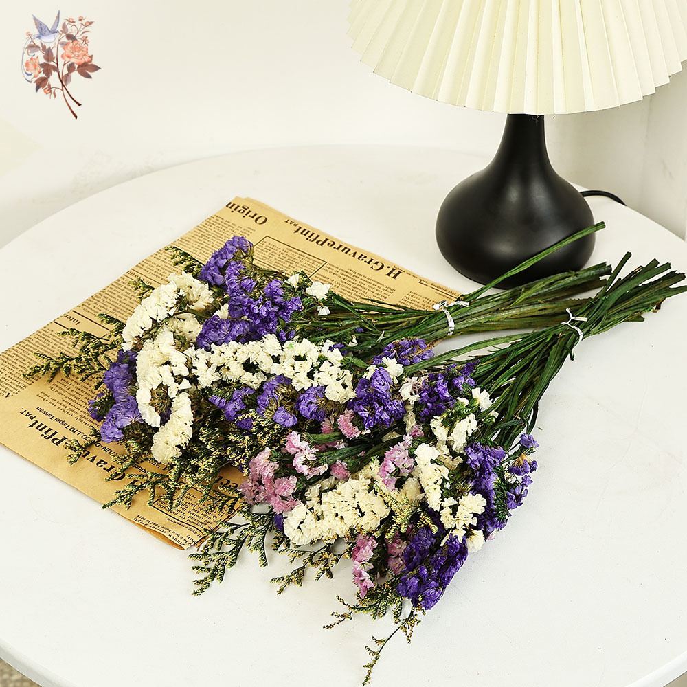 100G Buket Bunga Lupakan-aku-T - Dried Flower Bouquet ulasan dan harga