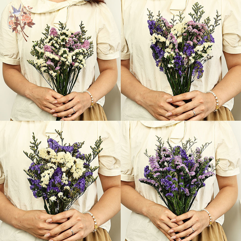 100G Buket Bunga Lupakan-aku-T - Dried Flower Bouquet ulasan dan harga