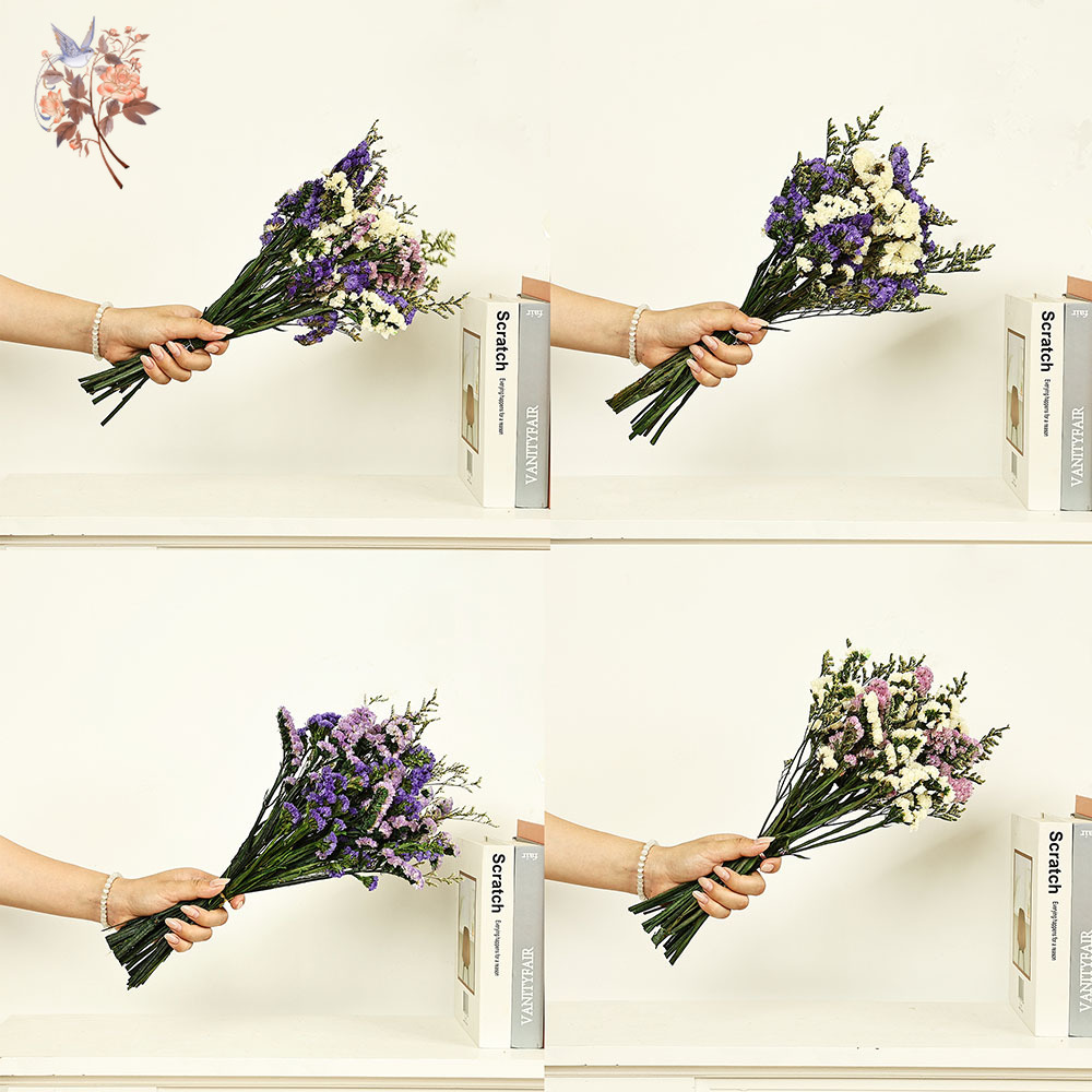 100G Buket Bunga Lupakan-aku-T - Dried Flower Bouquet ulasan dan harga