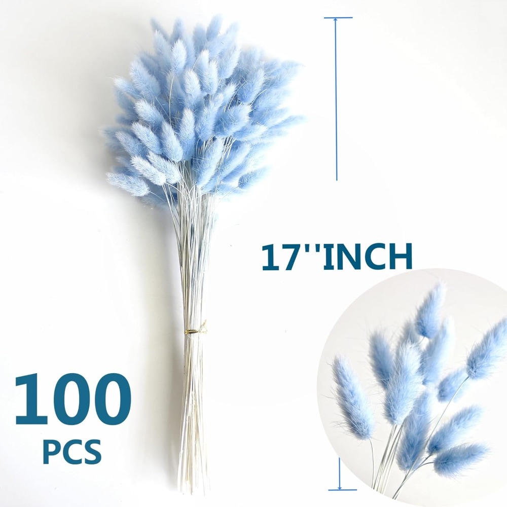 100 Buah Ekor Kelinci Biru Rum - Dried Flower Bouquet ulasan dan harga