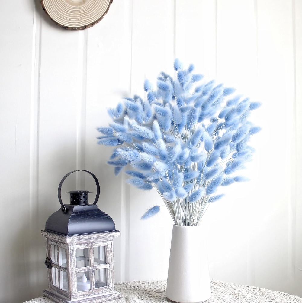 100 Buah Ekor Kelinci Biru Rum - Dried Flower Bouquet ulasan dan harga