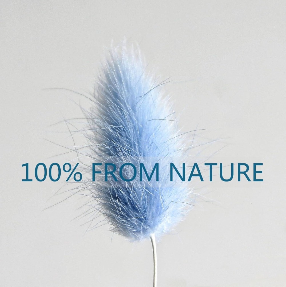 100 Buah Ekor Kelinci Biru Rum - Dried Flower Bouquet ulasan dan harga