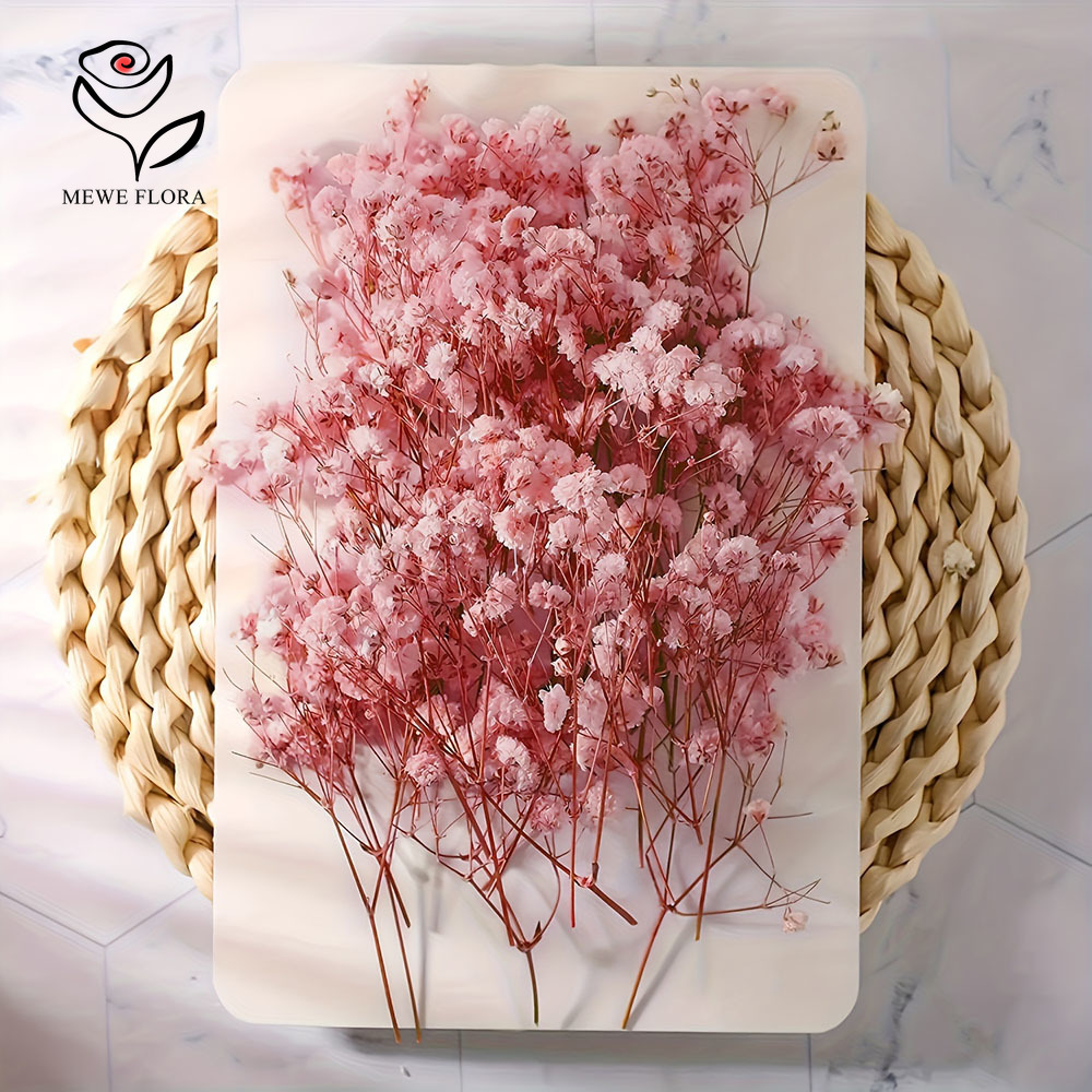 100 Cabang Kecil Bunga Nafas B - Dried Flower Bouquet ulasan dan harga