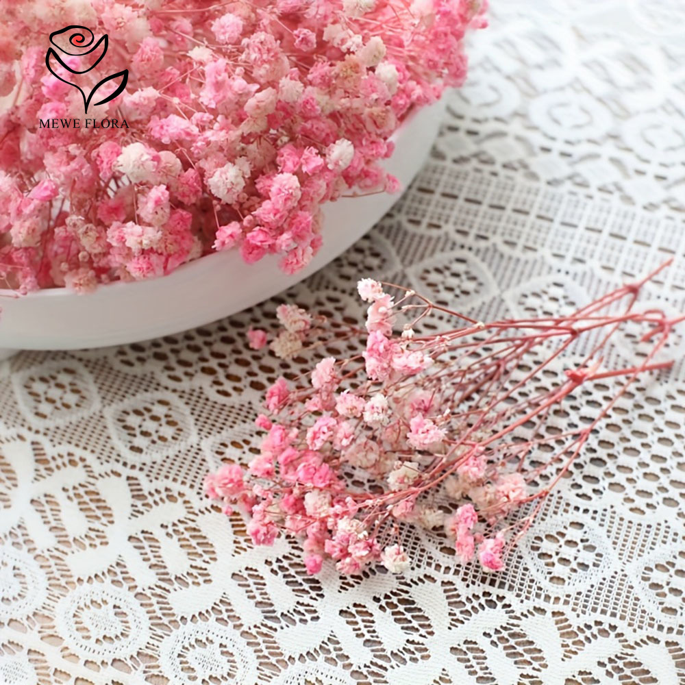 100 Cabang Kecil Bunga Nafas B - Dried Flower Bouquet ulasan dan harga