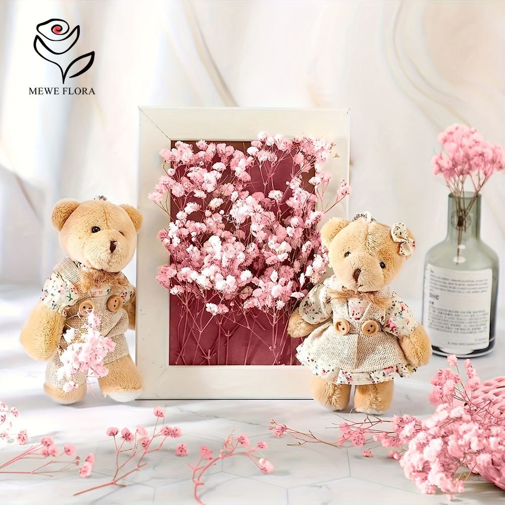 100 Cabang Kecil Bunga Nafas B - Dried Flower Bouquet ulasan dan harga